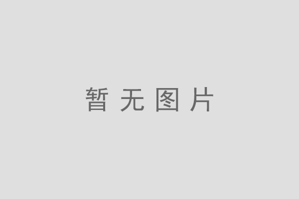 電機轉子動平衡機多少錢？